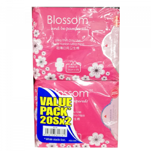 BLOSSOM DAY ULTRATHIN WING 1X2X20'S
