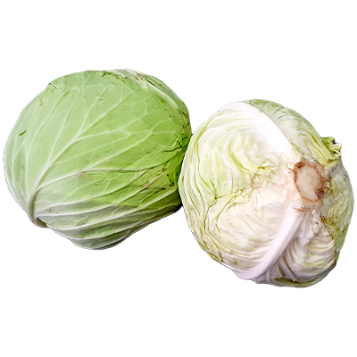 Bulat kobis Round Cabbage